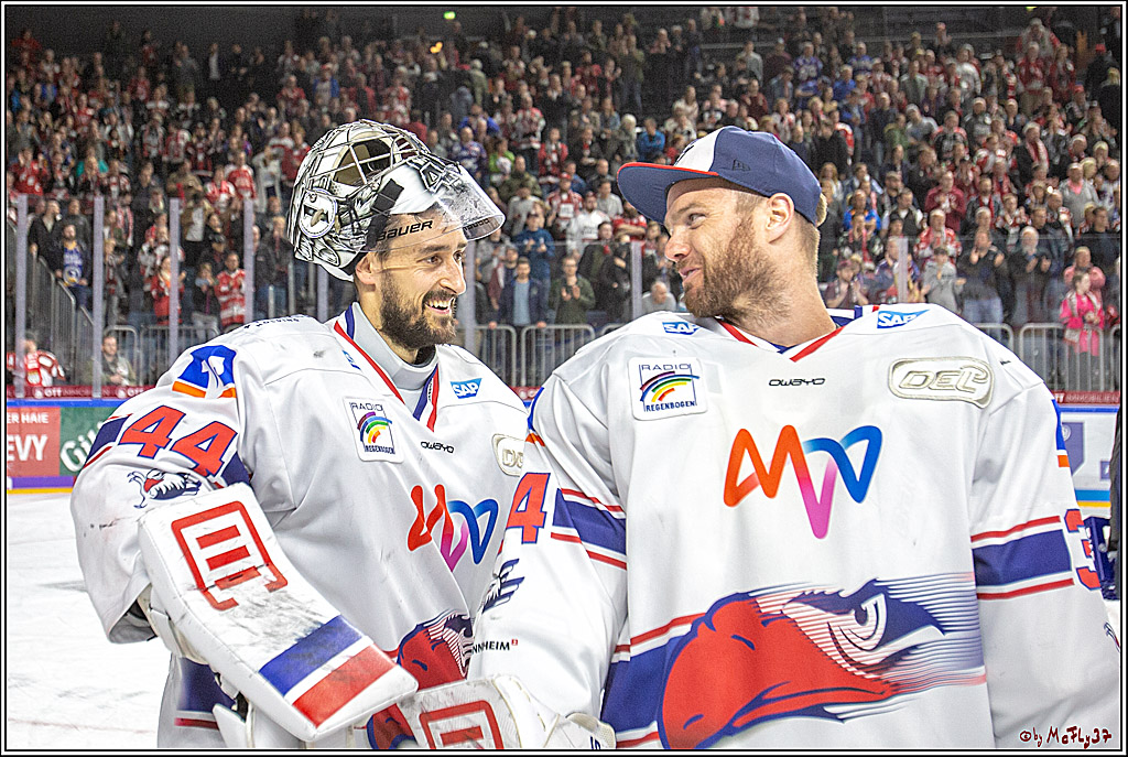 DEL; Koelner Haie - Adler Mannheim, 09.04.2019